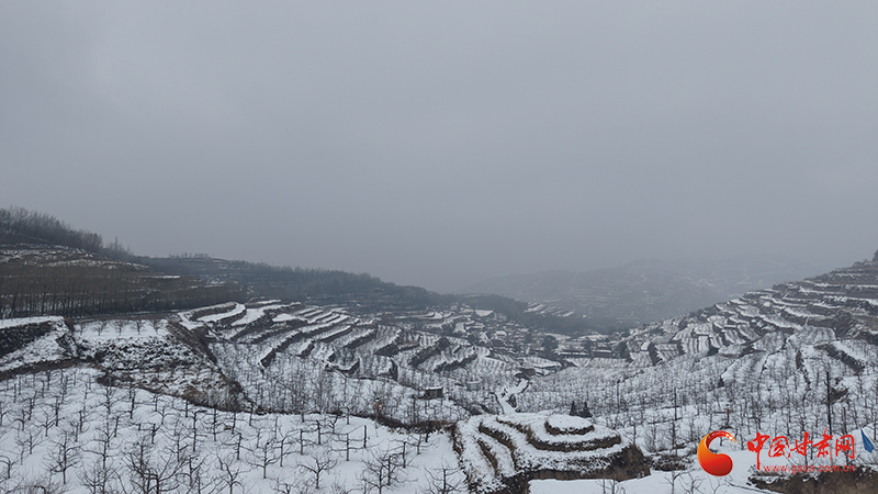 庄浪：春雪融墒忙复产 果园改造正当时