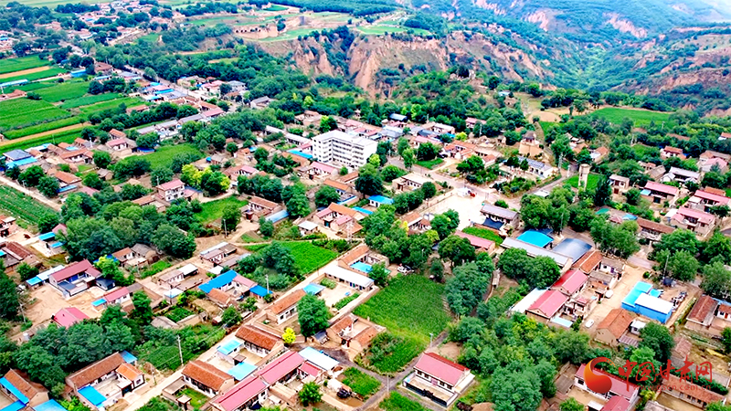 泾川：“产业+生态”绘就和美乡村新画卷