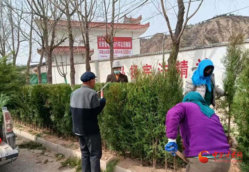 庄浪：“植”此青绿绘新卷