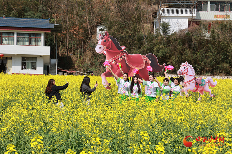 康县：油菜花开引客来