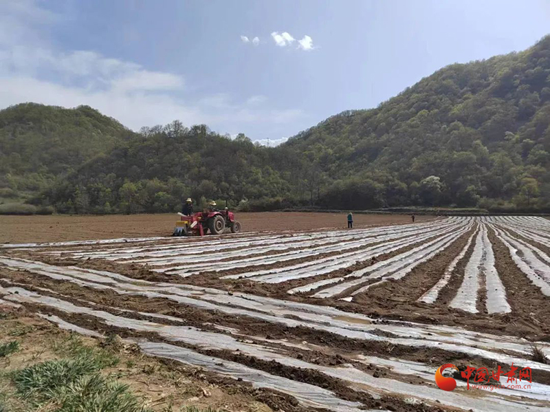 华亭：春耕织锦展画卷 产业流金绘新篇