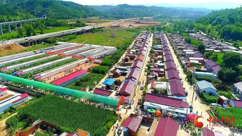 华亭：文明新风沐田野 和美乡村迎蝶变