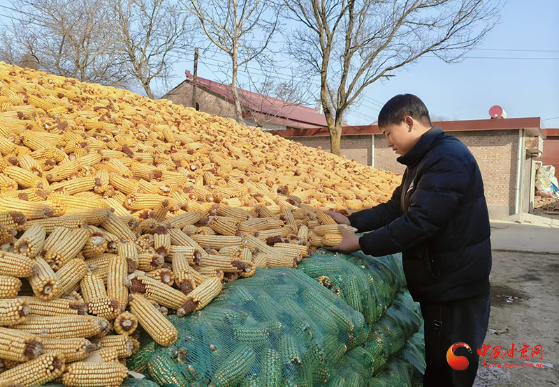 灵台：村里年轻人干得欢
