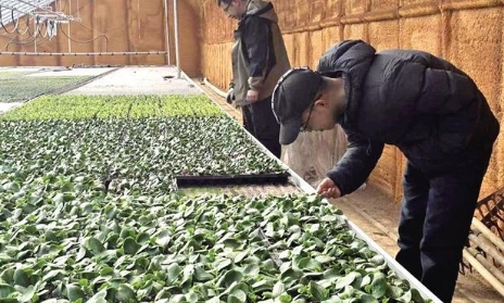 农机助春耕 服务促生产