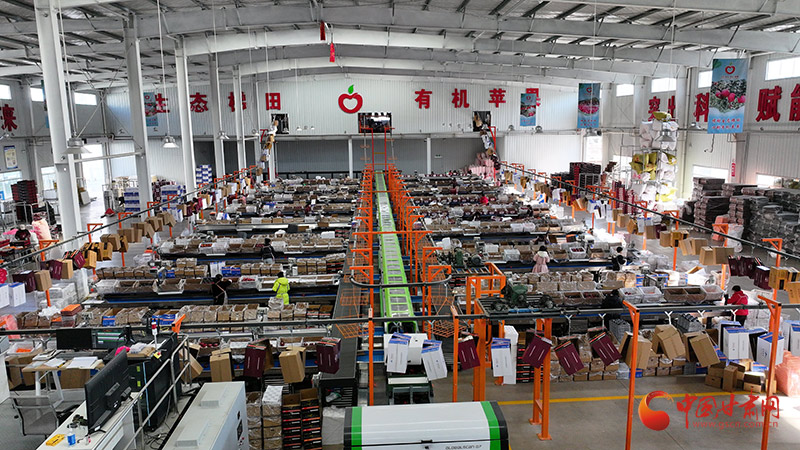 庄浪：苹果销售“迎春旺”