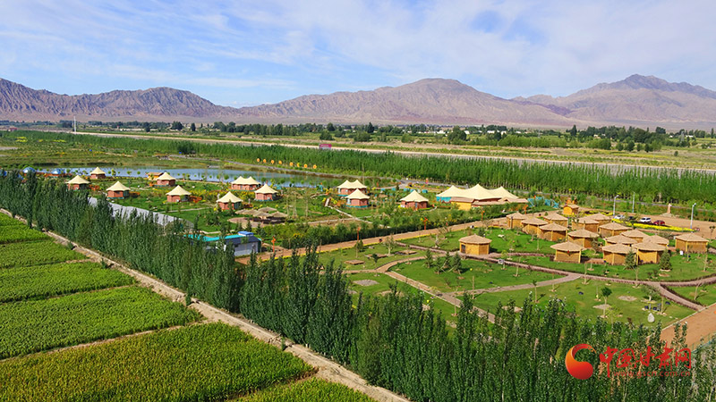 临泽：执绿为笔 奋力书写绿水青山生态答卷