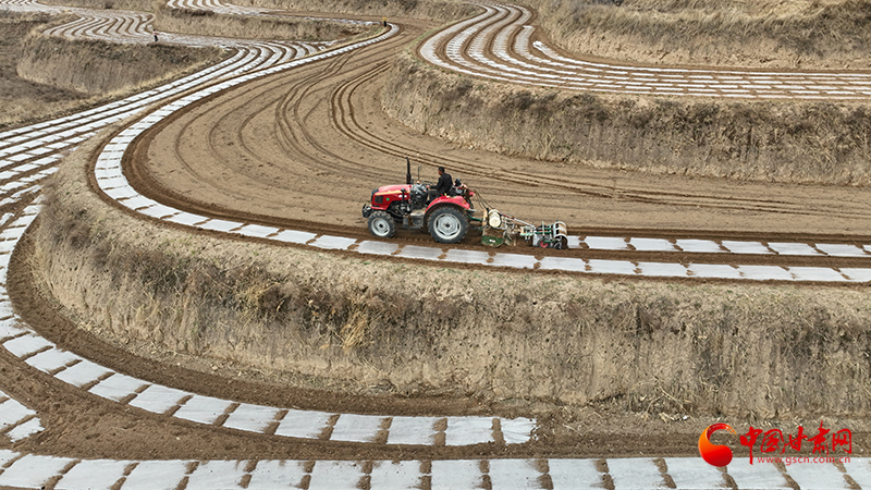 静宁：春到田畴忙耕种 顶凌覆膜掀热潮