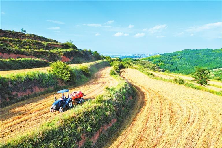 清水：万亩冬小麦种植基地秸秆变废为宝
